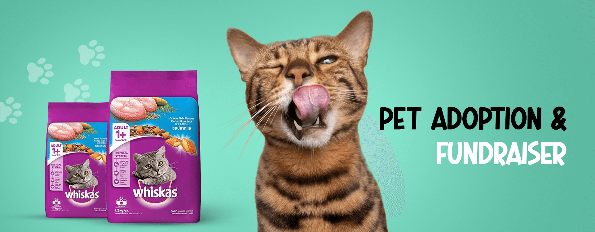 cat_banner3_19oct (1)