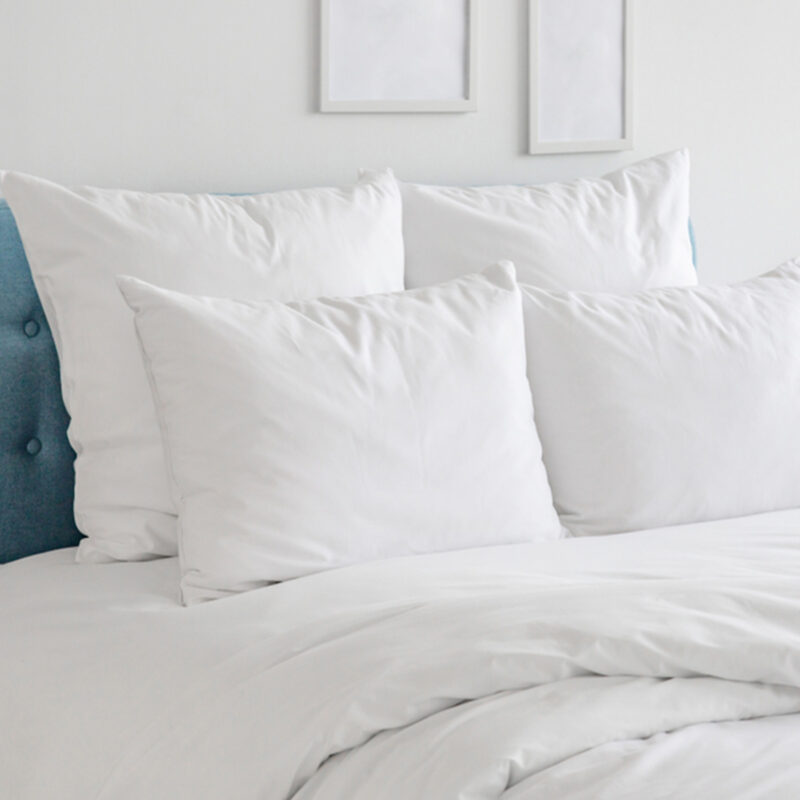 Cotton Solid Sleeping Pillow Pack of 2